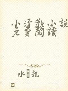 小清欢小说全文免费阅读