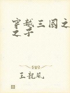 穿越三国之袁绍之子封面