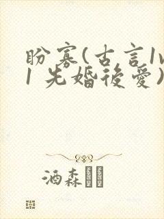 盼寡(古言1v1 先婚后爱)