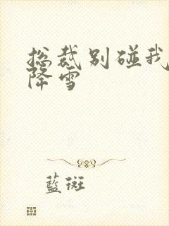 总裁别碰我 韩降雪