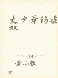 大少爷的暖床小奴封面