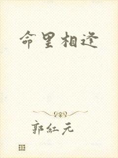 命里相逢封面