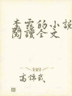 李霖的小说免费阅读全文