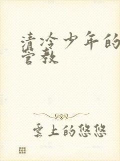 清冷少年的严厉管教封面