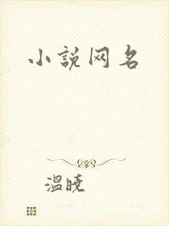 小说网名