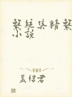 系统集精系统 小说