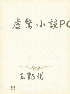 虚惊小说PO
