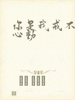 你是我戒不掉的心动