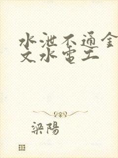 水泄不通金银原文水电工封面