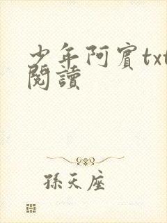 少年阿宾txt阅读