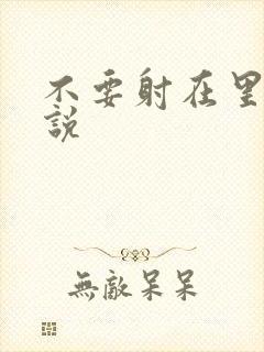 不要射在里面小说封面