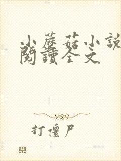 小蘑菇小说免费阅读全文