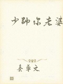 少帅你老婆
