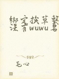 绑定挨草系统后没有wuwu名字