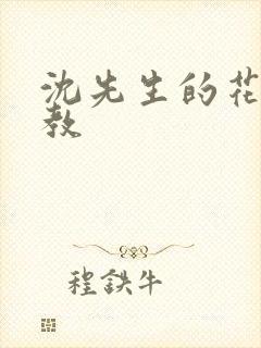 沈先生的花式管教