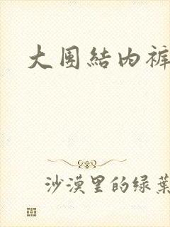 大团结内裤奇缘封面