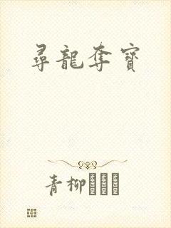 寻龙夺宝
