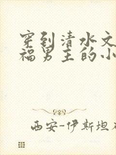 穿到清水文里造福男主的小说