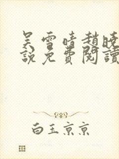 吴雪晴赵晓东小说免费阅读