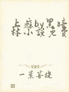 上瘾by黑暗森林小说免费