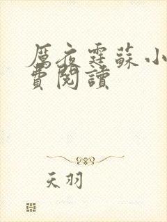 厉夜霆苏小汐免费阅读