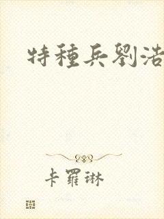 特种兵刘浩封面