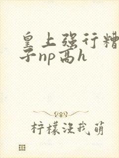 皇上强行糟蹋太子np高h