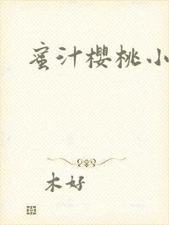 蜜汁樱桃小说封面