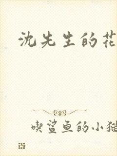 沈先生的花式调