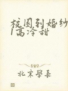 校园到婚纱1V1高冷甜封面