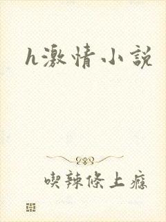 h激情小说