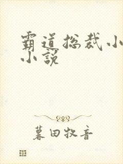 霸道总裁小娇妻小说