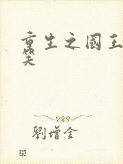 重生之国王的微笑