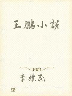 王鹏小说