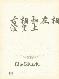 右相和左相一起淦皇上