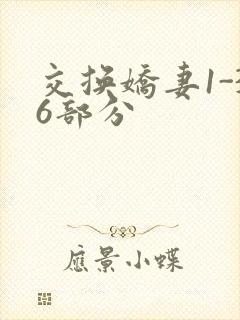 交换娇妻1-36部分