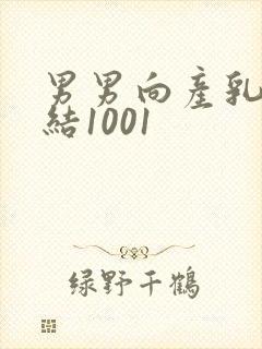 男男向产乳文小结1001封面