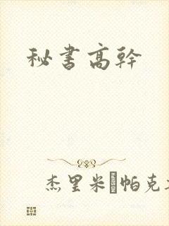 秘书高干