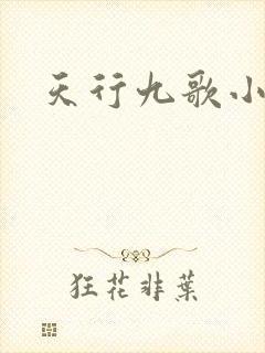 天行九歌小说