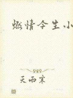 燃情今生小说封面