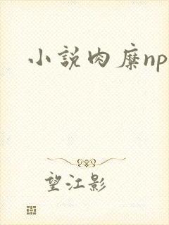 小说肉糜np