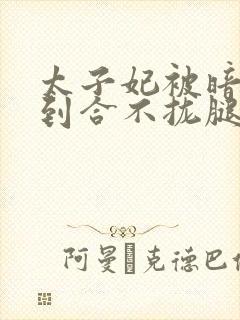 太子妃被暗卫C到合不拢腿