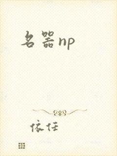名器np