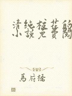 清纯校花的秘密小说免费阅读封面