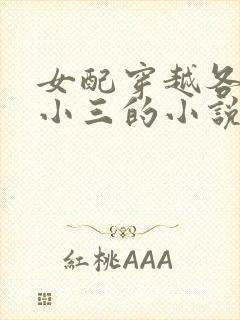 女配穿越各个做小三的小说
