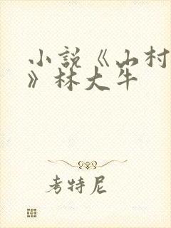 小说《山村情事》林大牛