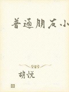 普通朋友小说