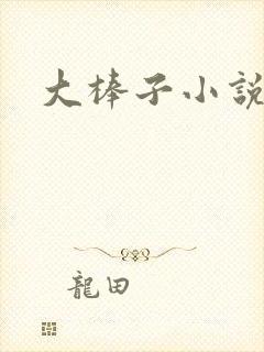 大棒子小说