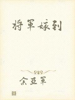 将军嫁到