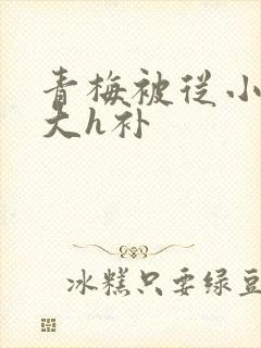 青梅被从小摸到大h补